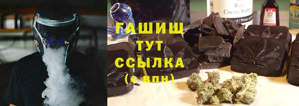 гашик Алексин