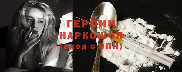 гашик Алексин