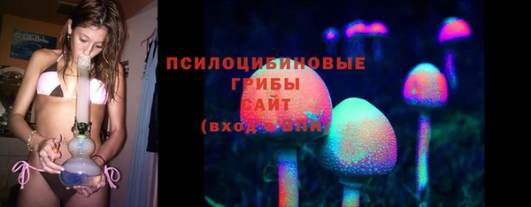 гашик Алексин