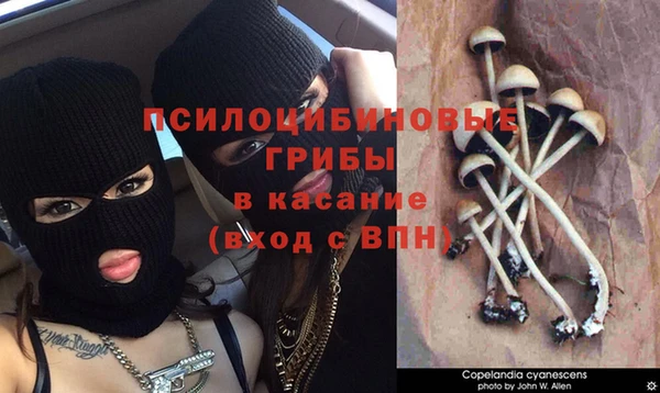 кокаин VHQ Алексеевка