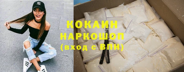 гашик Алексин